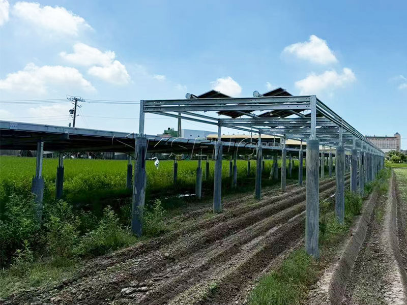 Ksengs ma&szlig;geschneidertes landwirtschaftliches Solarschuppenprojekt in Changhua, Taiwan: Ein 158,835 kW starkes Bodenmontagesystem mit einstellbaren Winkeln