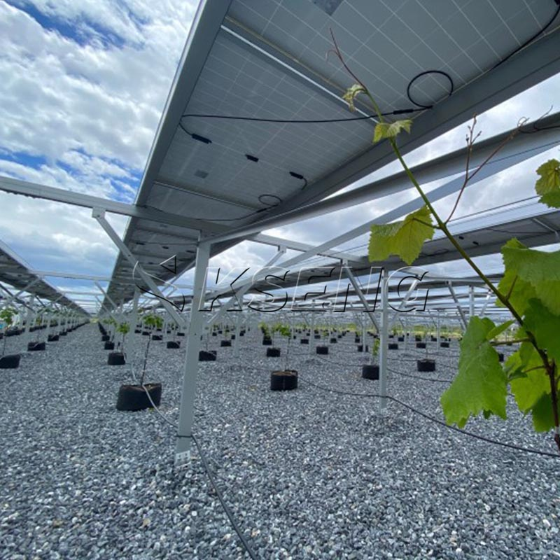 Solarpark-Montagesystem (1)