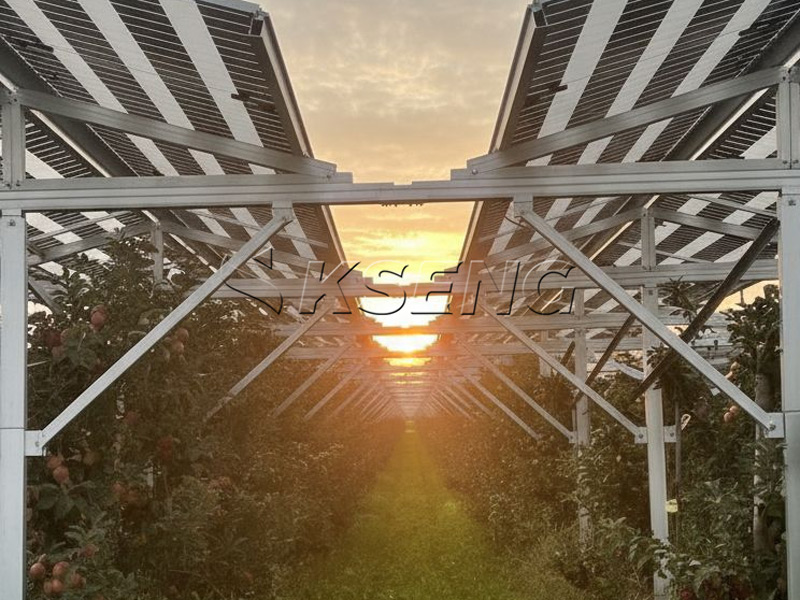 Fallstudie – 3-MW-Solarpark in Deutschland: Eine Erfolgsgeschichte mit der Agri-PV-Struktur von Kseng Solar