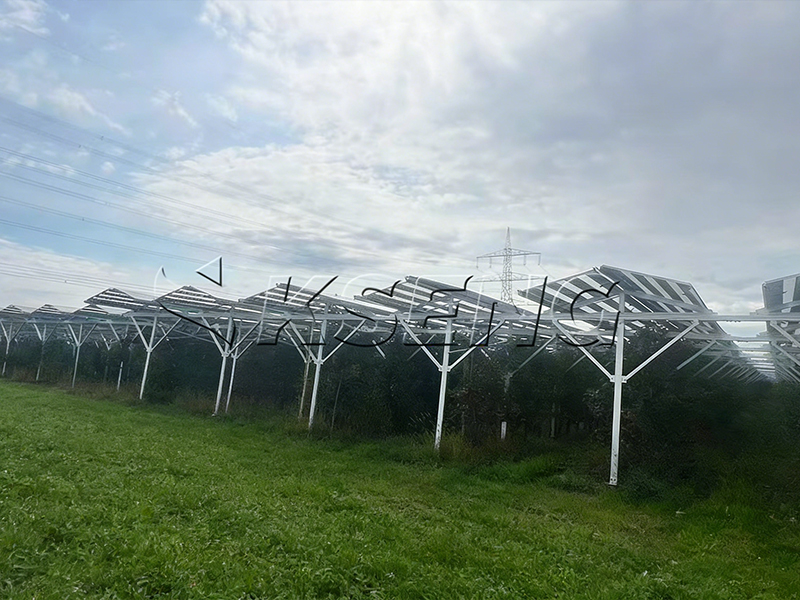 Hocheffizientes Agri-PV-Montagesystem in einem franz&ouml;sischen Agri-PV-Projekt