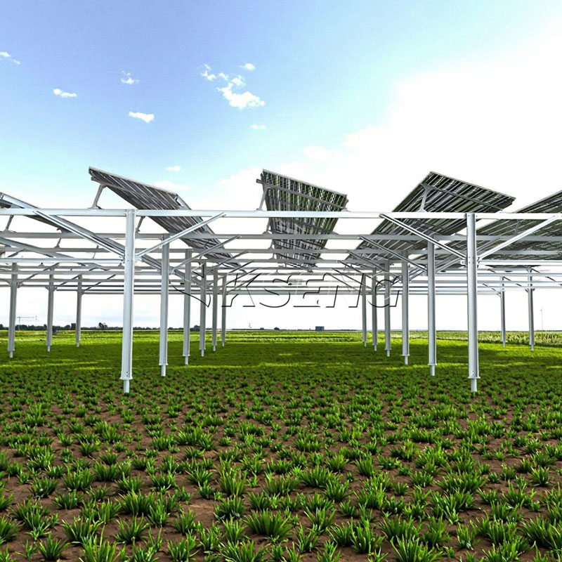 Solarpark-Montagesystem (1)