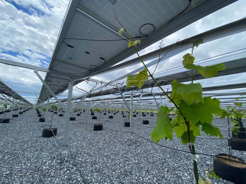 Kseng-Energy-Agri-PV-Montagestruktur