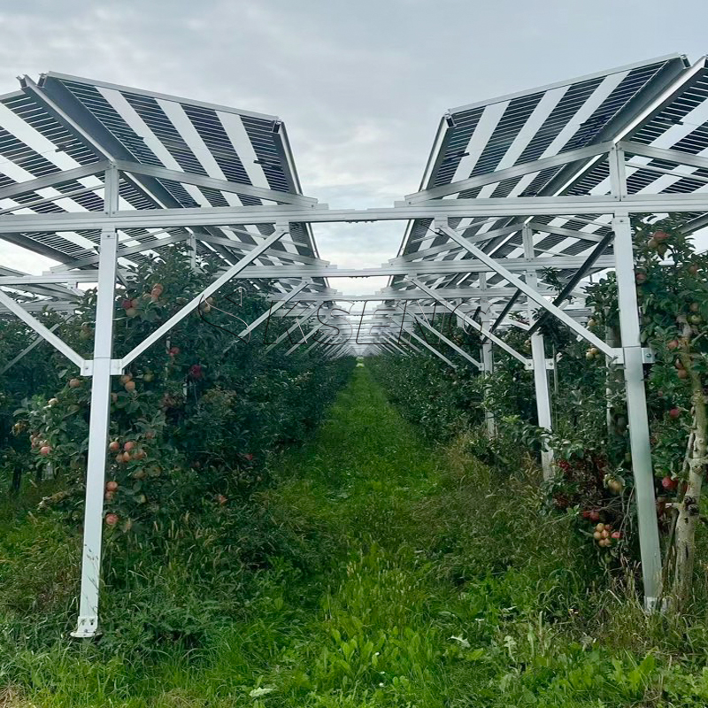 Solarpark-Montagesystem